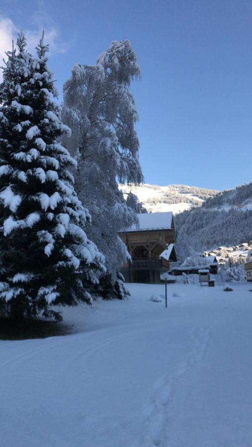 La Montagne « Un Coin D'Oxygene » Lejlighed Châtel Eksteriør billede