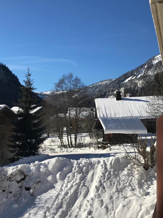 La Montagne « Un Coin D'Oxygene » Lejlighed Châtel Eksteriør billede